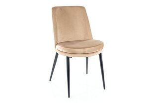 Набор из 4 обеденных стульев Signal Kayla Velvet, бежевый/черный цвет цена и информация | Стулья для кухни и столовой | hansapost.ee
