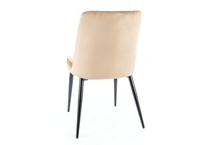 Набор из 4 обеденных стульев Signal Kayla Velvet, бежевый/черный цвет kaina ir informacija | Стулья для кухни и столовой | hansapost.ee