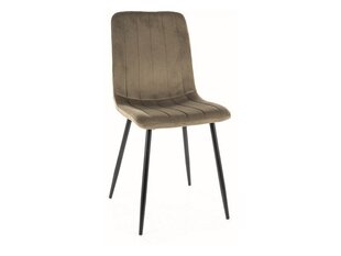Обеденный стул Signal Alan Velvet, коричневый/черный цвет цена и информация | Стулья для кухни и столовой | hansapost.ee