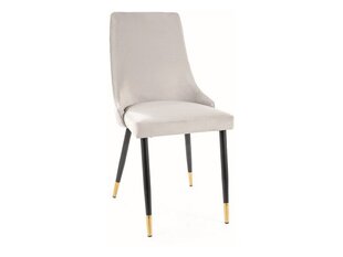 Набор из 2 обеденных стульев Signal Piano Velvet, серый/черный цвет цена и информация | Стулья для кухни и столовой | hansapost.ee