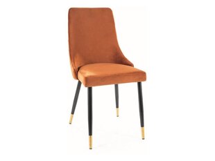 Набор из 2 обеденных стульев Signal Piano Velvet, оранжевый/черный цвет цена и информация | Стулья для кухни и столовой | hansapost.ee