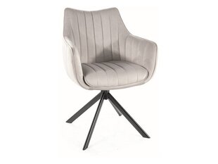 Набор из 2 обеденных стульев Signal Azalia Velvet, серый/черный цвет цена и информация | Стулья для кухни и столовой | hansapost.ee