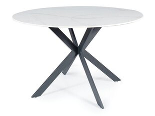 Обеденный стол Signal Talia, белый/черный цвет цена и информация | Кухонные и обеденные столы | hansapost.ee
