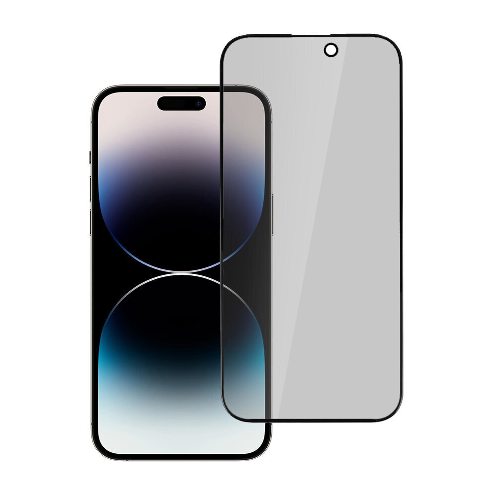 Kaitseklaas Privacy Glass - iPhone 11 цена и информация | Ekraani kaitseklaasid ja kaitsekiled | hansapost.ee