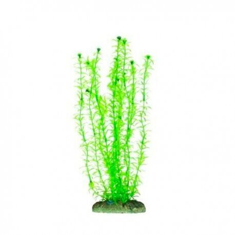 Plastikust akvaariumitaim Aqua Nova 30cm hind ja info | Akvaariumi taimed ja dekoratsioonid | hansapost.ee