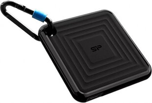 Silicon Power PC60 1 TB SSD hind ja info | Välised kõvakettad | hansapost.ee