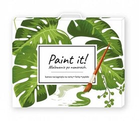 Pilt Paint see! Maali numbrid - Pojengid цена и информация | Живопись по номерам | hansapost.ee