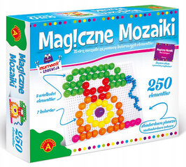 Волшебная Мозаика 250 Элементов цена и информация | Развивающие игрушки для детей | hansapost.ee