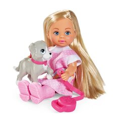 Набор куклы Simba Doll Evi цена и информация | Игрушки для девочек | hansapost.ee