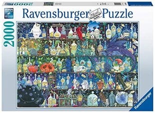 Паззл Эликисиры Ravensburger цена и информация | Пазлы | hansapost.ee