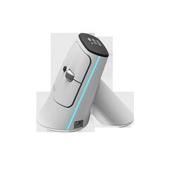 Wireless Ergonomic Mouse Delux MV6 DB BT+2.4G (white) цена и информация | Компьютерные мыши | hansapost.ee