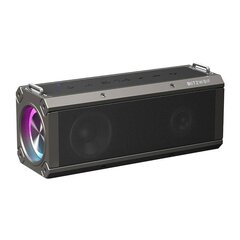 Blitzwolf BW-WA3 Pro Wireless speaker Bluetooth 5.0 (black) цена и информация | Аудиоколонки | hansapost.ee