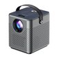 Wireless projector HAVIT PJ205 PRO (grey) цена и информация | Projektorid | hansapost.ee