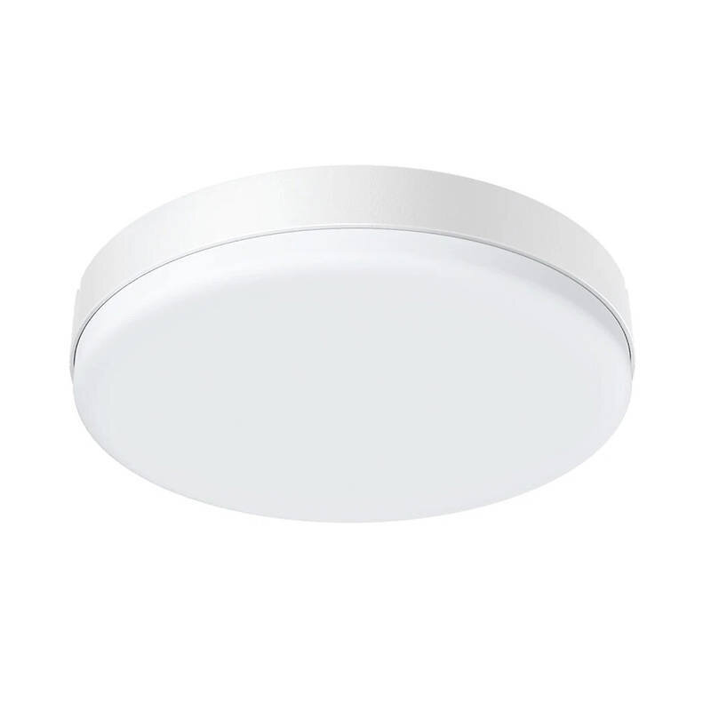 LED ceiling lamp BlitzWolf BW-LT38 with remote control, 24W цена и информация | Laelambid | hansapost.ee