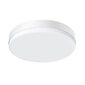 LED ceiling lamp BlitzWolf BW-LT38 with remote control, 24W hind ja info | Laelambid | hansapost.ee