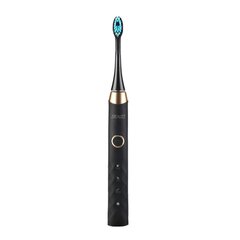 Elektriline hambahari Seago Sonic toothbrush SG-987 (black) цена и информация | Электрические зубные щетки | hansapost.ee