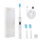 Elektriline hambahari Seago Sonic toothbrush SG-551 (white) цена и информация | Elektrilised hambaharjad | hansapost.ee