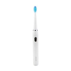 Elektriline hambahari Seago Sonic toothbrush SG-551 (white) цена и информация | Электрические зубные щетки | hansapost.ee