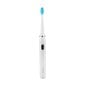 Elektriline hambahari Seago Sonic toothbrush SG-551 (white) цена и информация | Elektrilised hambaharjad | hansapost.ee