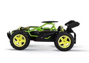 Автомобиль-багги RC Lime 2,4 ГГц цена и информация | Игрушки для мальчиков | hansapost.ee