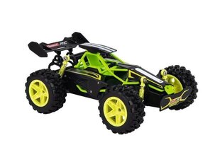 Автомобиль-багги RC Lime 2,4 ГГц цена и информация | Игрушки для мальчиков | hansapost.ee