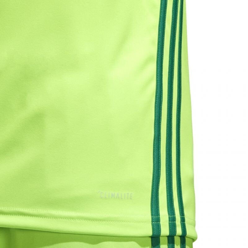 Meeste spordisärk Adidas Regista 18 M CE8973 hind ja info | Spordiriided meestele | hansapost.ee