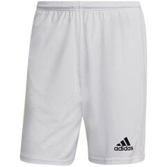 Meeste lühikesed spordipüksid Adidas Squadra 21 Short M GN5774 hind ja info | Spordiriided meestele | hansapost.ee