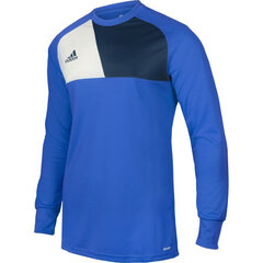 Футболка мужская Adidas Assita 17 M AZ5399, синяя цена и информация | Мужские футболки | hansapost.ee
