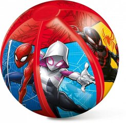 Rannapall - Spiderman hind ja info | Ranna- ja õuemänguasjad | hansapost.ee