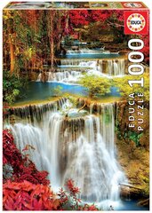 Головоломка Водопад, 1000 деталей цена и информация | Пазлы | hansapost.ee