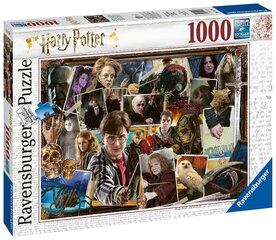 Pusle Harry Potter vs Voldemort 1000 tk hind ja info | Pusled lastele ja täiskasvanutele | hansapost.ee