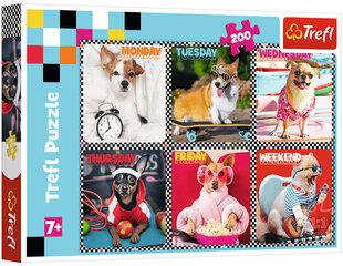 Puzzle 290 собаки/ *200шт цена и информация | Пазлы | hansapost.ee