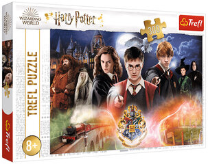 Pusle 284 Harry Potter / *300tk цена и информация | Пазлы | hansapost.ee