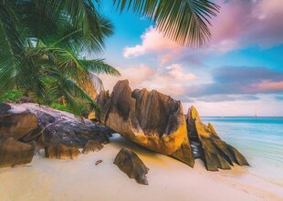 Пазл Ravensburger Beautiful Islands Seychelles, 16907, 1000 д. цена и информация | Пазлы | hansapost.ee