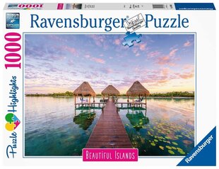 Пазл Ravensburger Beautiful Islands Tropic View, 16908, 1000 д. цена и информация | Пазлы | hansapost.ee