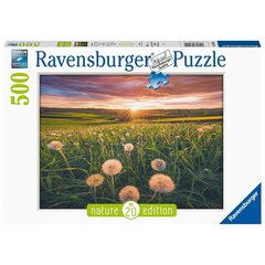 Ravensburgeri pusle Pusteblumen päikese käes. 500tk 16990 hind ja info | Pusled lastele ja täiskasvanutele | hansapost.ee