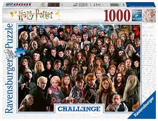 Пазл Ravensburger Challange Harry Potter, 14988, 1000 д. цена и информация | Пазлы | hansapost.ee