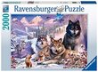 Pusle Ravensburger Wolves in the Snow, 2000 tk. hind ja info | Pusled lastele ja täiskasvanutele | hansapost.ee