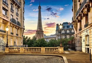 Пазл 1000 деталей Прогулка по Парижу на закате цена и информация | Пазлы | hansapost.ee