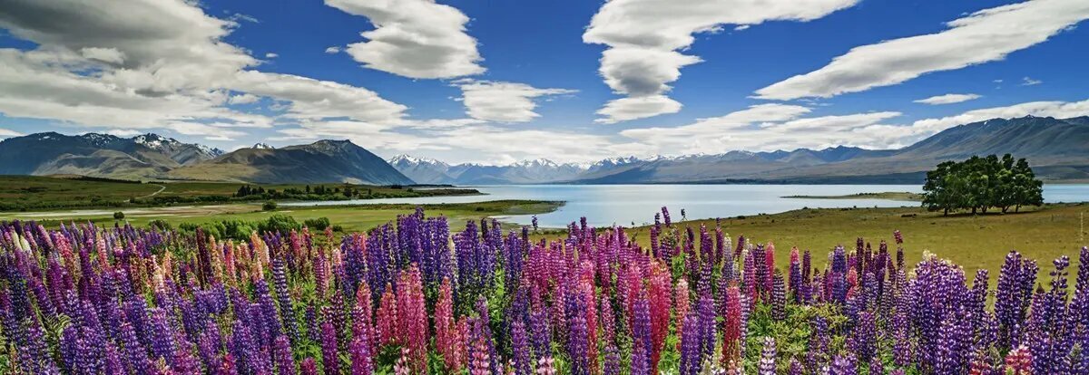 Pusle 1000 osa, Lake Tekapo hind ja info | Pusled lastele ja täiskasvanutele | hansapost.ee