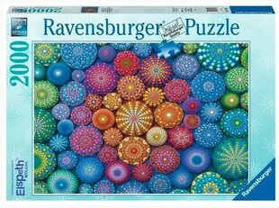 2D puzzle 2000 elemendid Rainbow Mandalas hind ja info | Pusled lastele ja täiskasvanutele | hansapost.ee