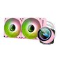 Darkflash DX240 V2 RGB PC Water Cooling 2x 120x120 (Pink) цена и информация | Protsessori jahutid | hansapost.ee