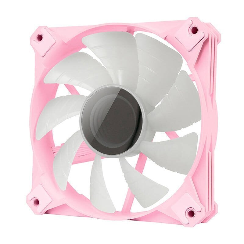 Darkflash DX240 V2 RGB PC Water Cooling 2x 120x120 (Pink) цена и информация | Protsessori jahutid | hansapost.ee