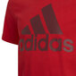 Poiste T-särk Adidas B BL T Jr HE9280 hind ja info | Särgid poistele | hansapost.ee