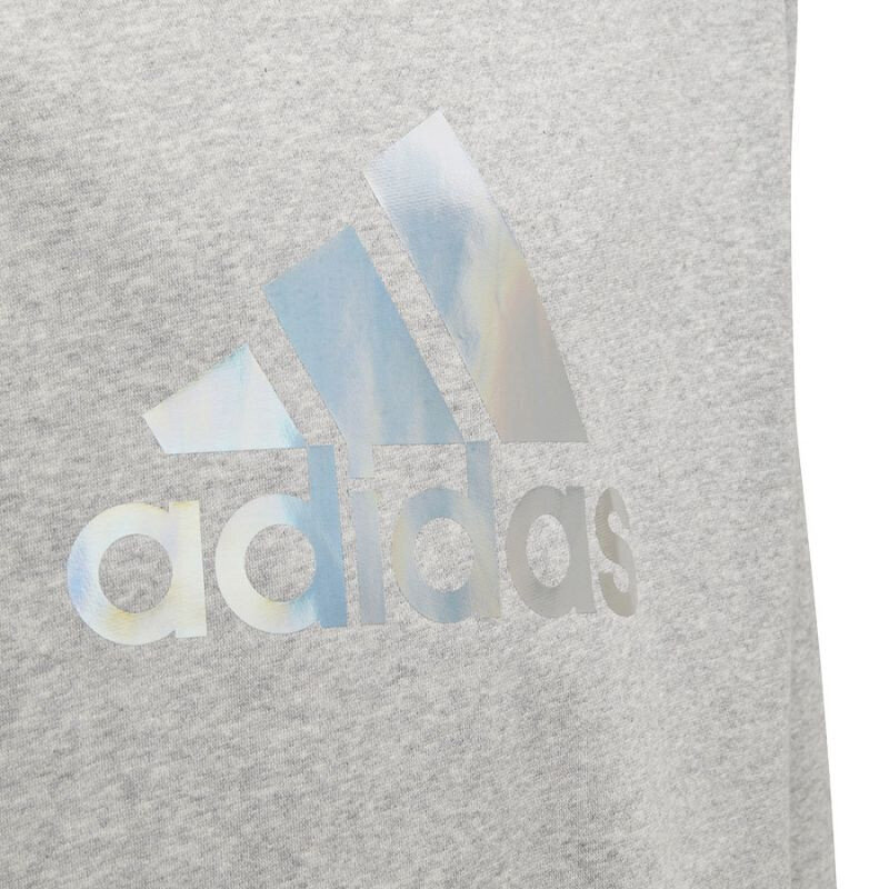 Laste dressipluus Adidas, hall hind ja info | Kampsunid, vestid ja jakid tüdrukutele | hansapost.ee