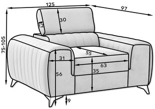 Tugitool Laurence, hall hind ja info | Tugitoolid | hansapost.ee