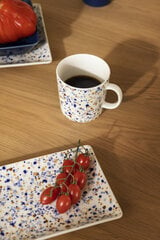 Чашка Iittala Helle, 300 мл цена и информация | Стаканы, фужеры, кувшины | hansapost.ee