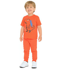 Спортивные штаны Cool Club для мальчиков CCB2700248, оранжевый цвет цена и информация | Штаны для мальчиков | hansapost.ee