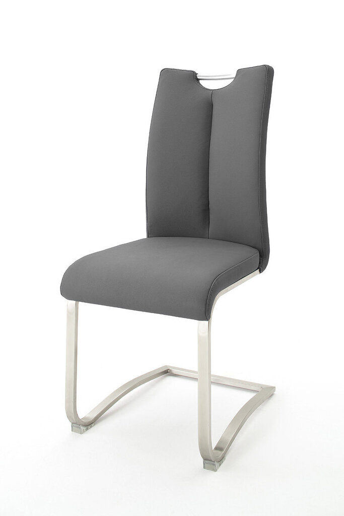 2 tooli komplekt Artos 2, hall цена и информация | Köögitoolid, söögitoolid | hansapost.ee