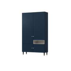 Шкаф  Includo, 120x60x205 см, синий цвет цена и информация | Шкафы | hansapost.ee